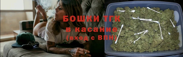дживик Карпинск