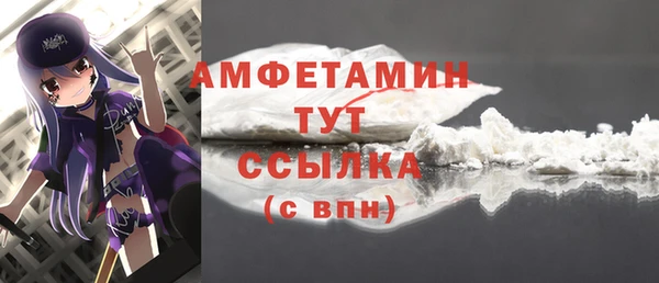 соль ск Каменногорск