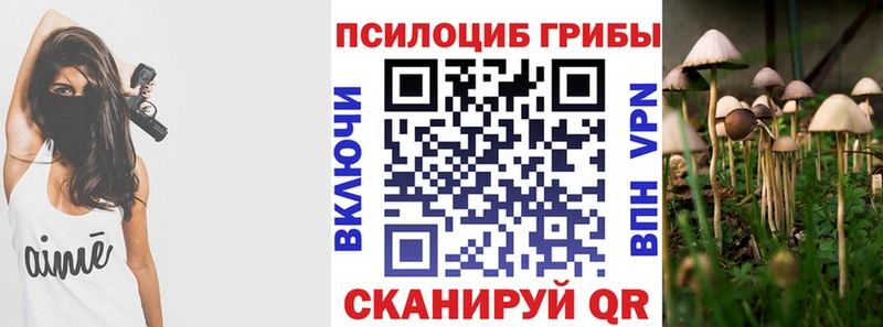 Галлюциногенные грибы Psilocybe  мега зеркало  Новочебоксарск 